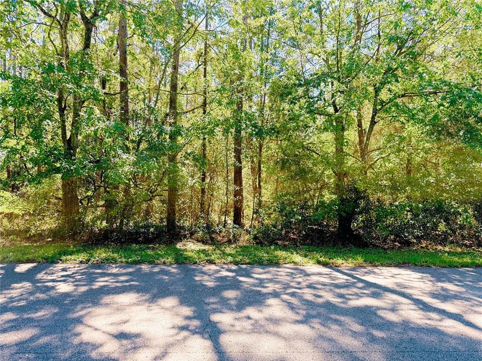 Recently Sold: $49,000 (1.00 acres)