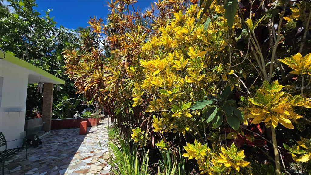 待售: $387,000 (4 贝兹, 4 浴室, 2474 平方英尺)