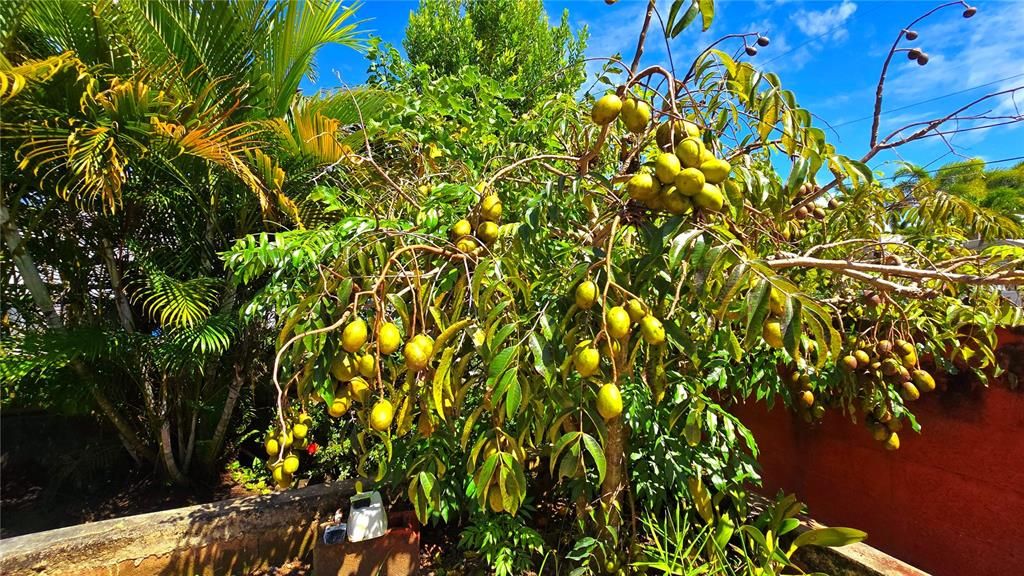 待售: $387,000 (4 贝兹, 4 浴室, 2474 平方英尺)