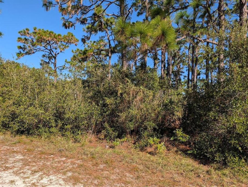 待售: $11,500 (0.50 acres)