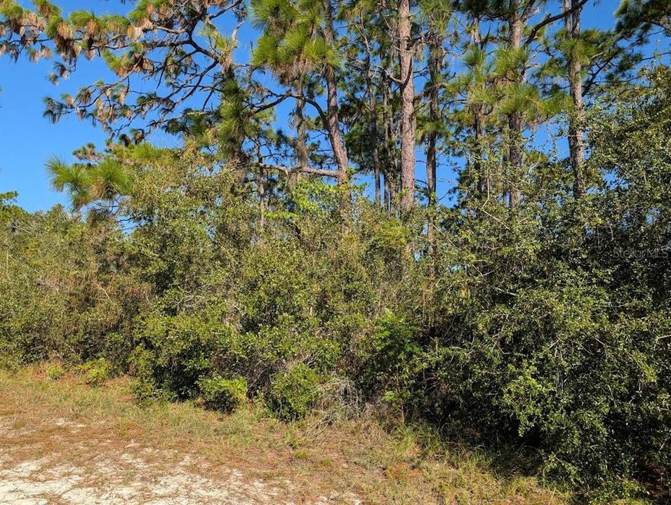 待售: $11,500 (0.50 acres)