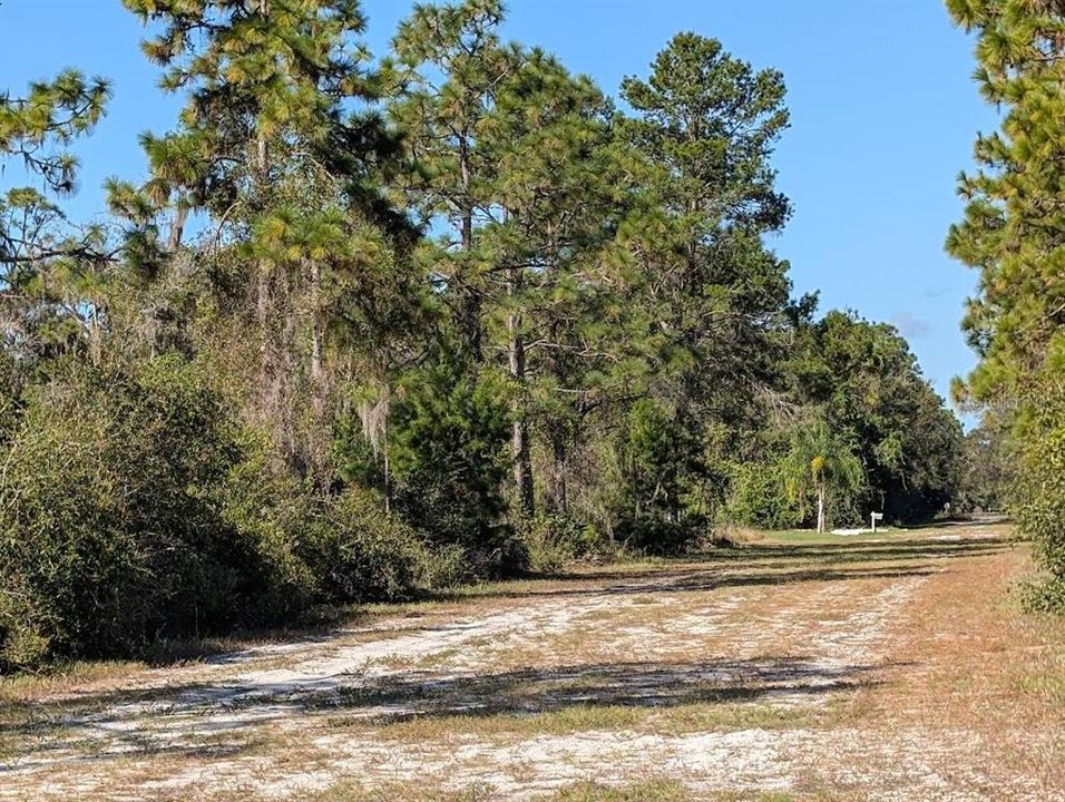 待售: $11,500 (0.50 acres)