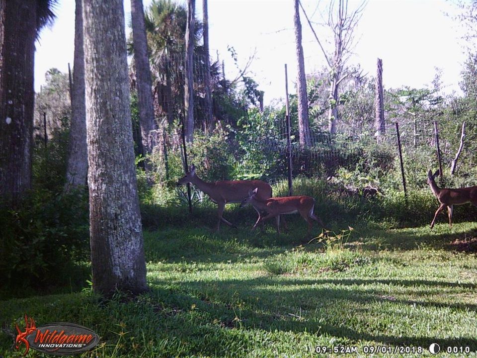 待售: $248,000 (0.92 acres)