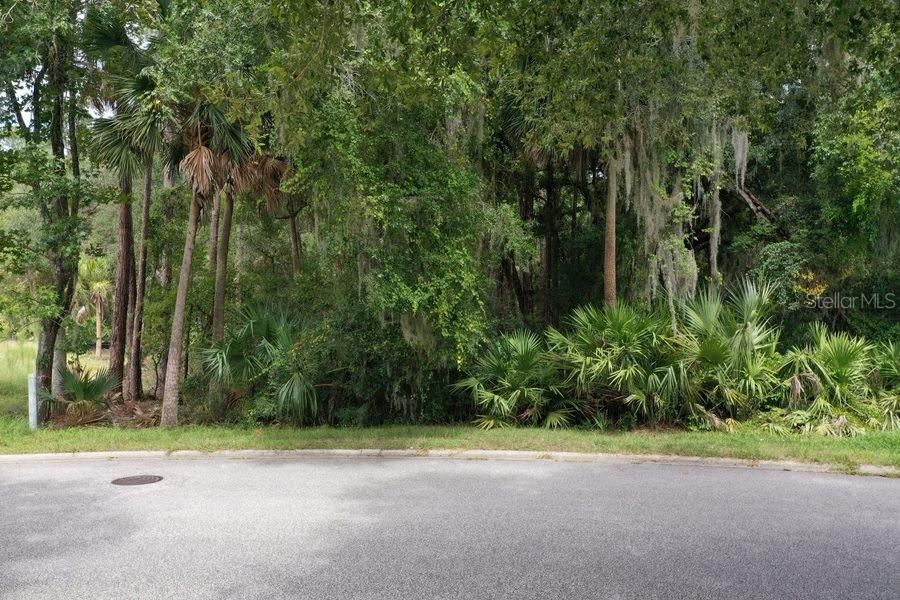 待售: $248,000 (0.92 acres)