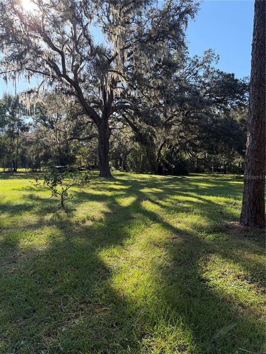 For Sale: $315,000 (3 beds, 2 baths, 1308 Square Feet)