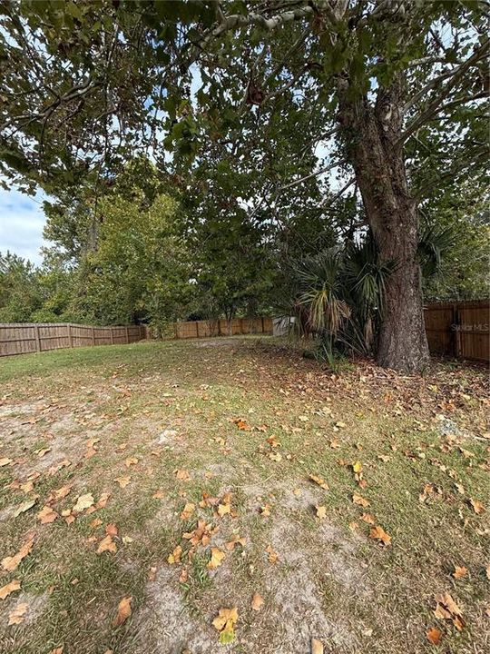 For Sale: $244,900 (3 beds, 2 baths, 1356 Square Feet)