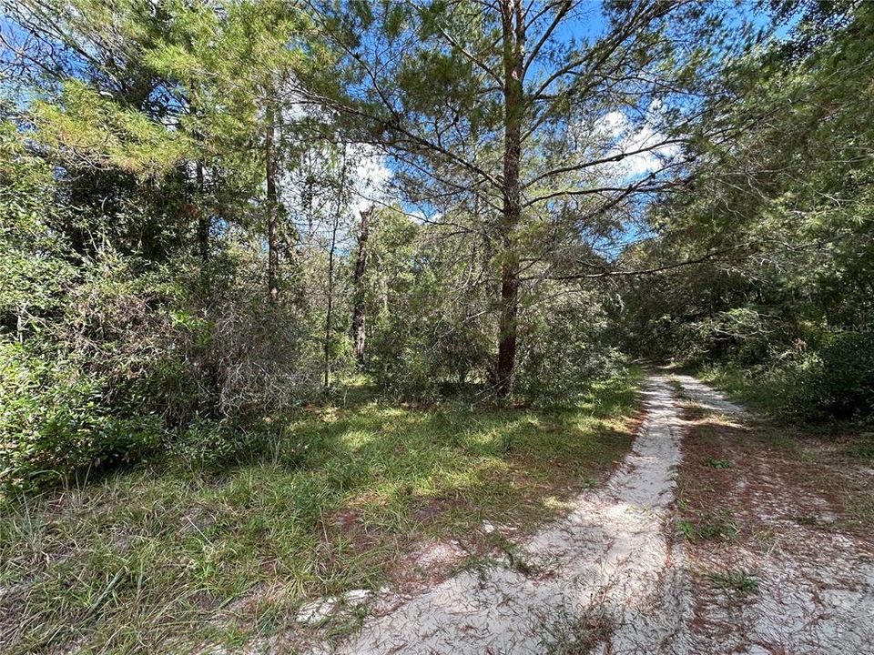 For Sale: $12,500 (0.31 acres)