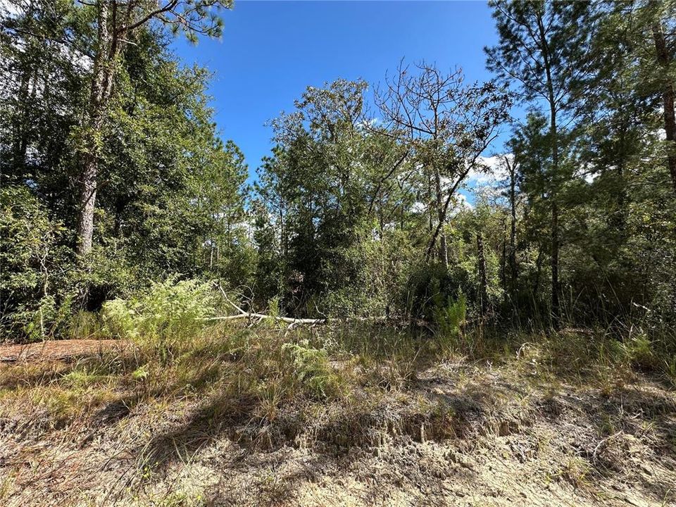 For Sale: $12,500 (0.31 acres)