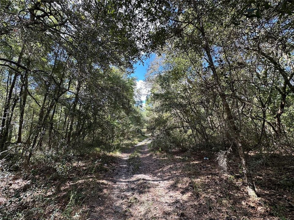 For Sale: $12,500 (0.31 acres)