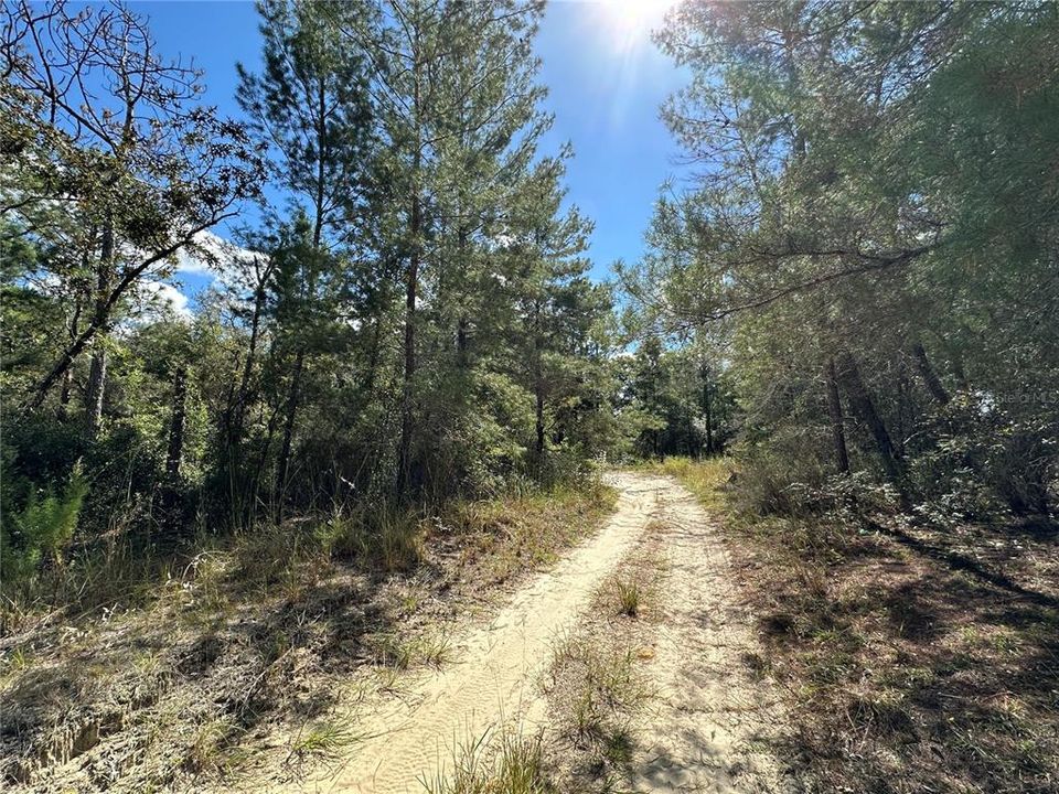 For Sale: $12,500 (0.31 acres)