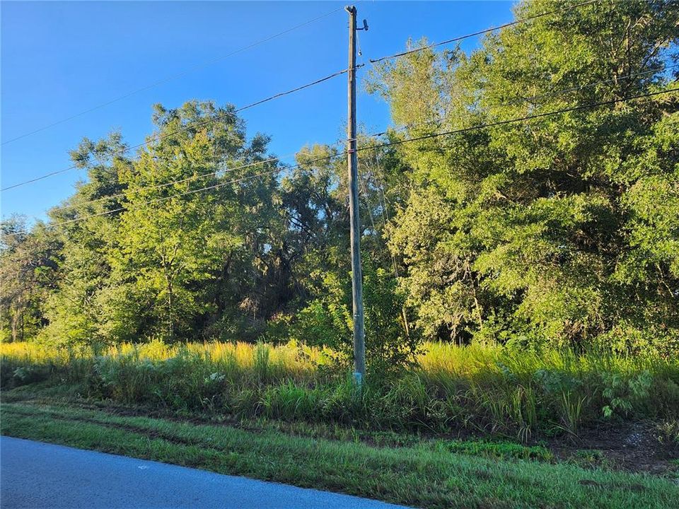 For Sale: $35,000 (0.23 acres)