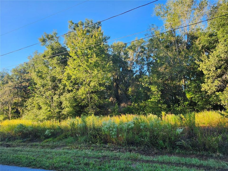 For Sale: $35,000 (0.23 acres)