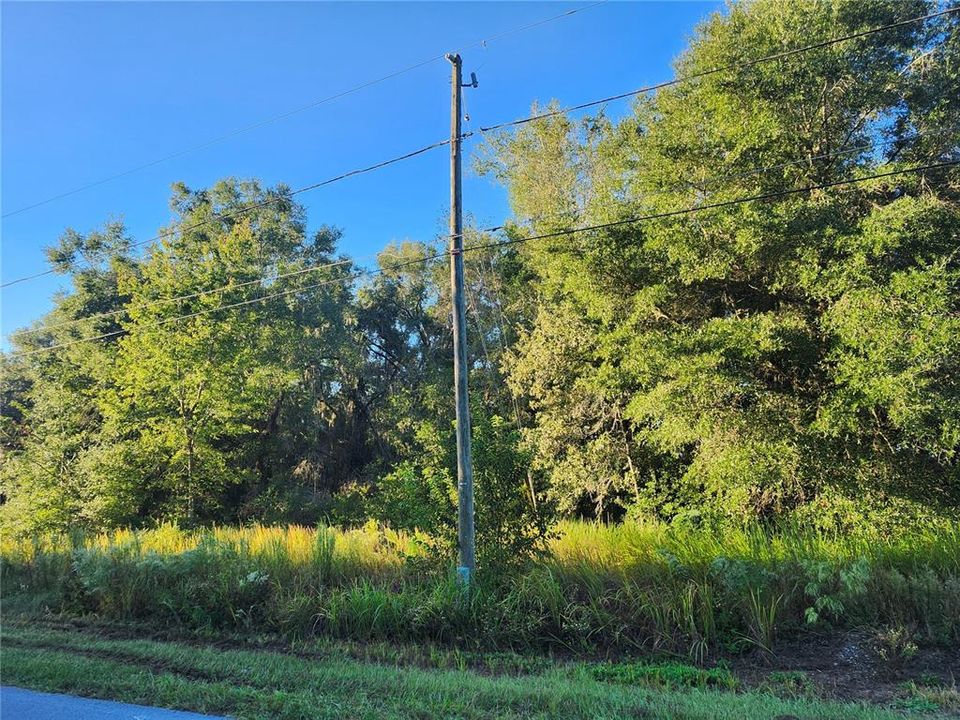 For Sale: $35,000 (0.23 acres)