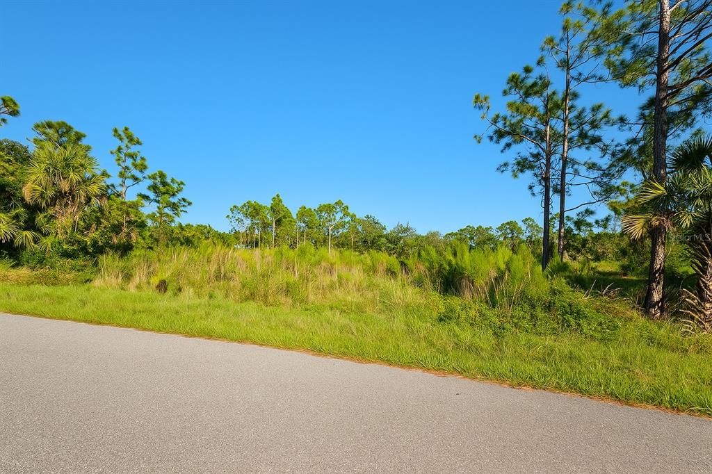 For Sale: $25,000 (0.23 acres)