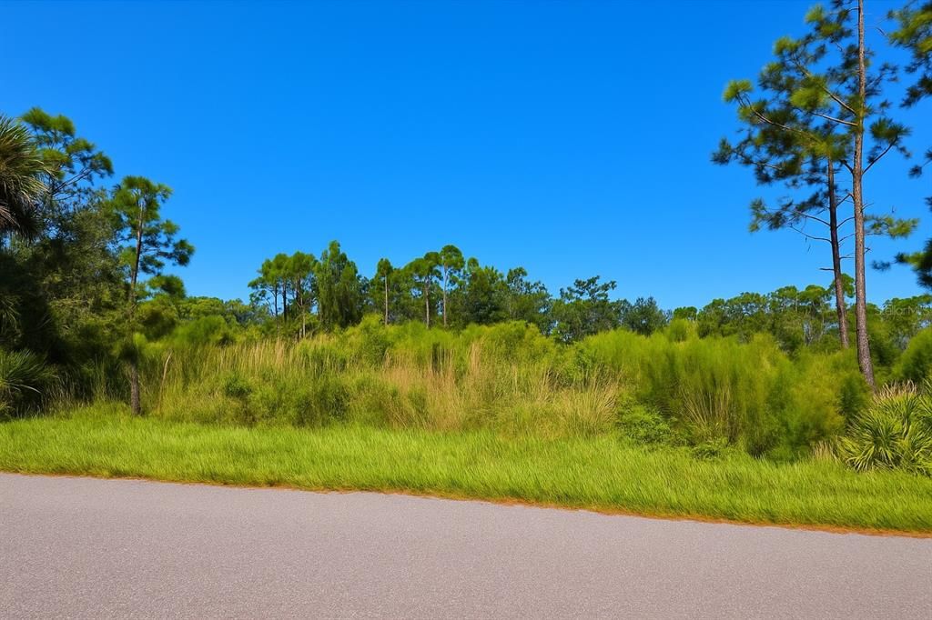 For Sale: $25,000 (0.23 acres)