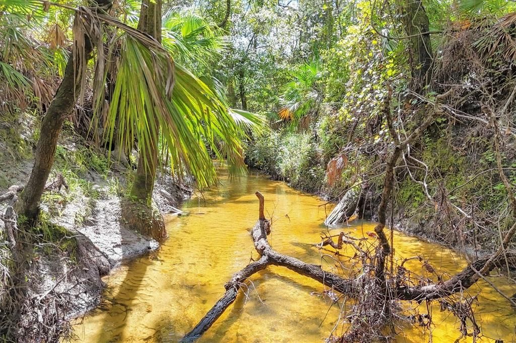 For Sale: $674,000 (3 beds, 2 baths, 2428 Square Feet)