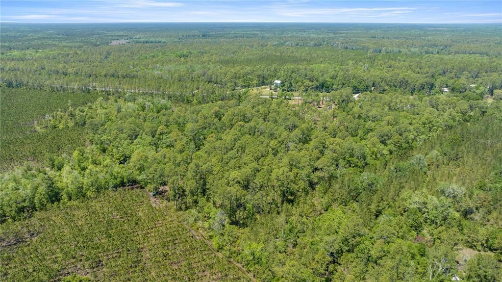 待售: $229,000 (2.25 acres)