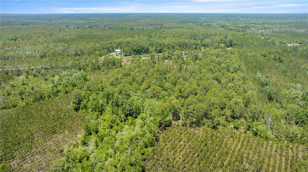 待售: $229,000 (2.25 acres)