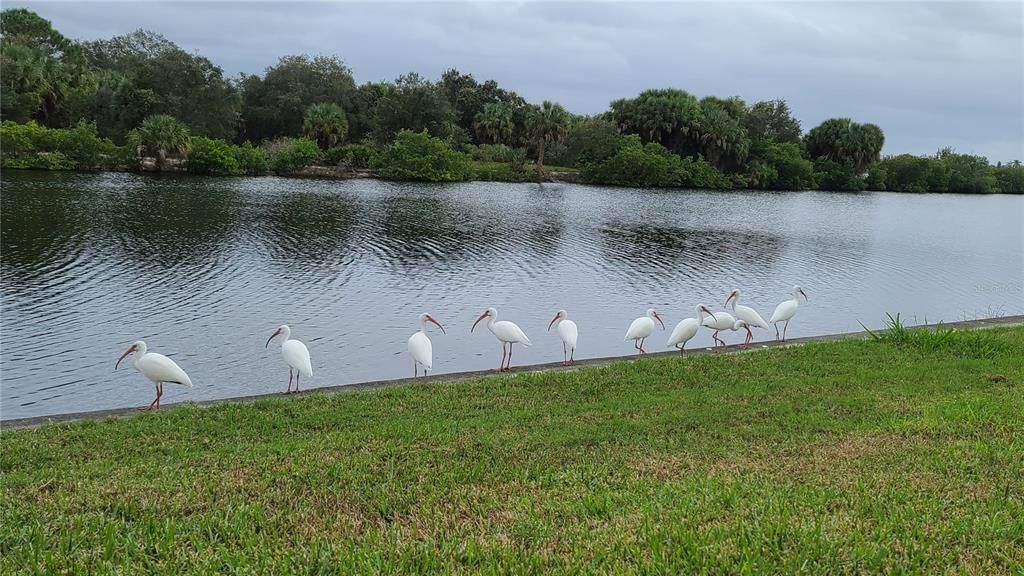 For Sale: $750,000 (3 beds, 2 baths, 2824 Square Feet)