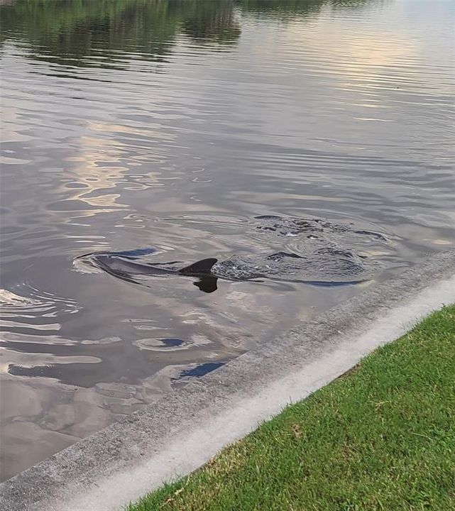 For Sale: $750,000 (3 beds, 2 baths, 2824 Square Feet)