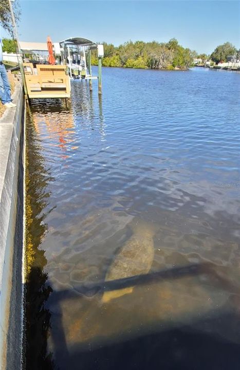 For Sale: $750,000 (3 beds, 2 baths, 2824 Square Feet)