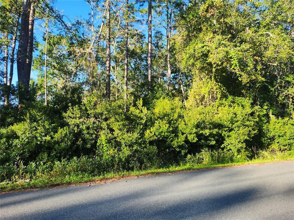 На продажу: $35,000 (0.23 acres)