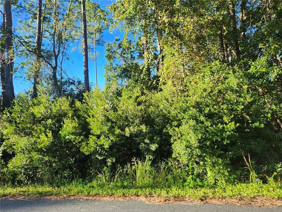 На продажу: $35,000 (0.23 acres)