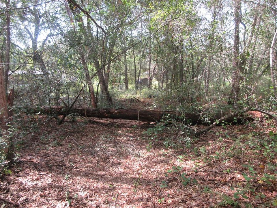 For Sale: $14,900 (0.29 acres)