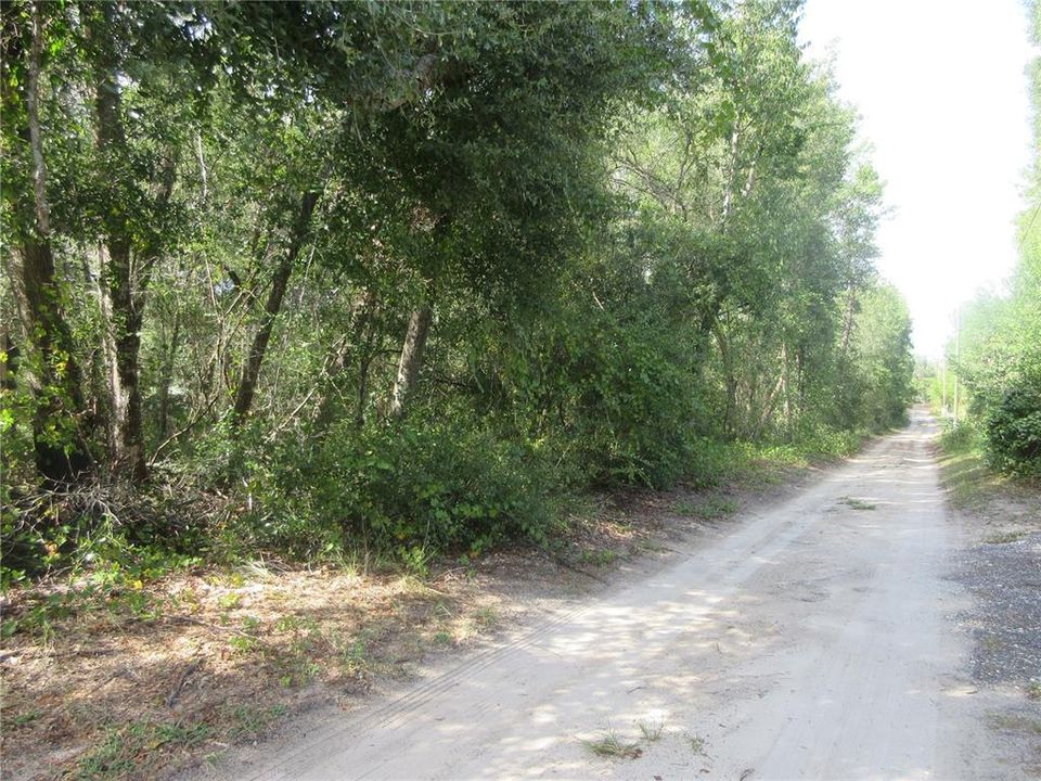 For Sale: $14,900 (0.29 acres)