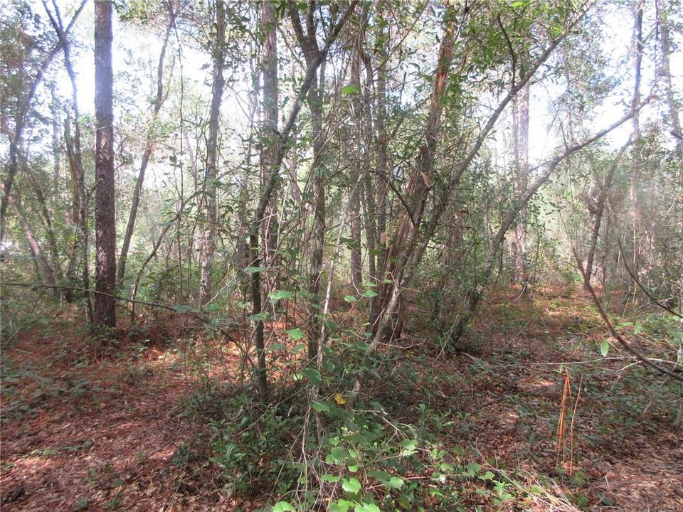 For Sale: $14,900 (0.29 acres)