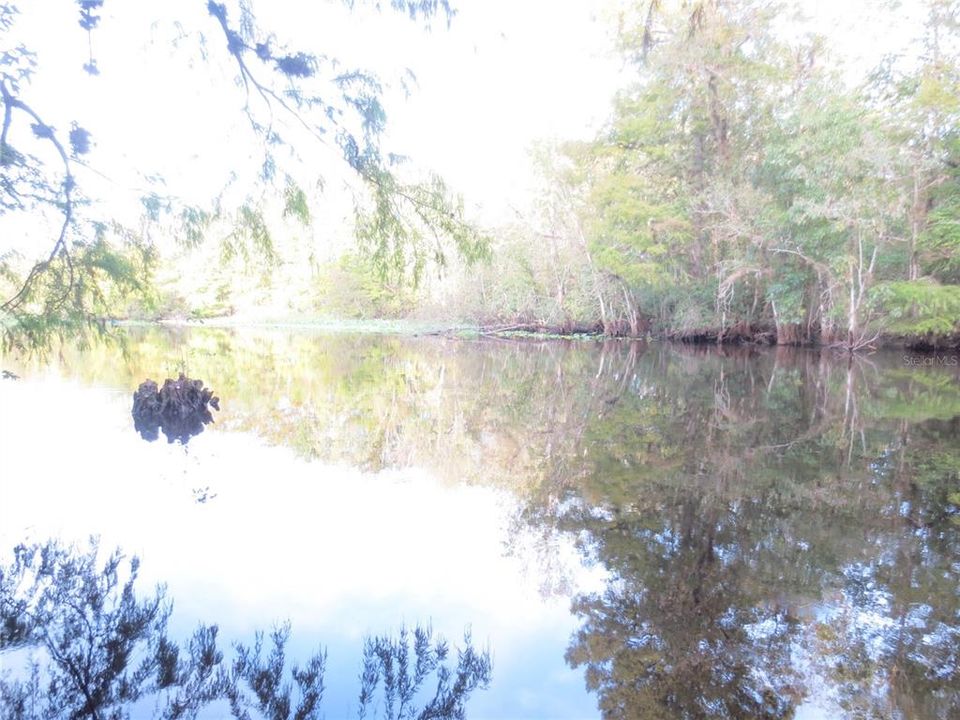 For Sale: $14,900 (0.29 acres)