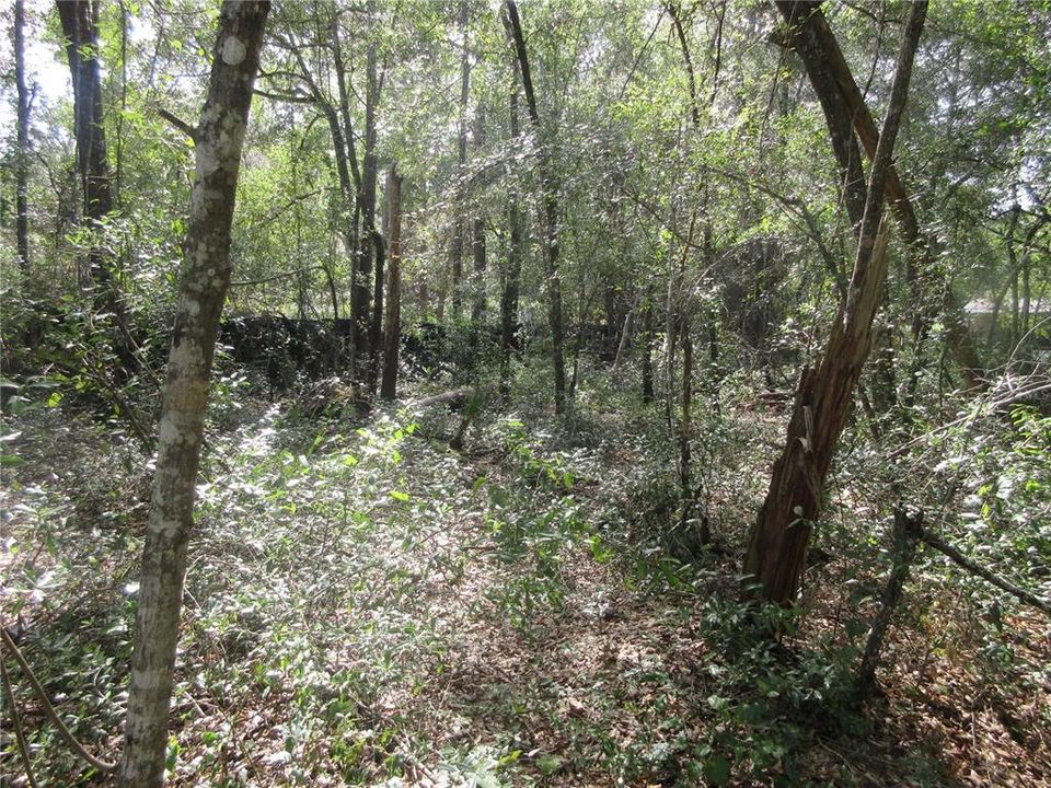 For Sale: $14,900 (0.29 acres)