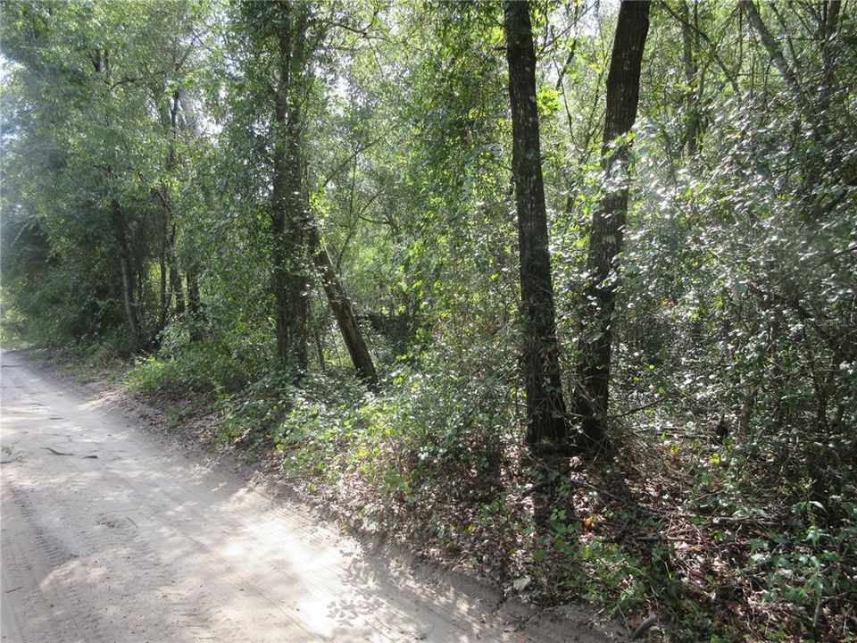 For Sale: $14,900 (0.29 acres)