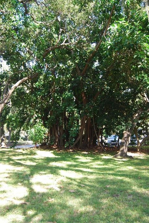 For Sale: $149,000 (2 beds, 1 baths, 1200 Square Feet)