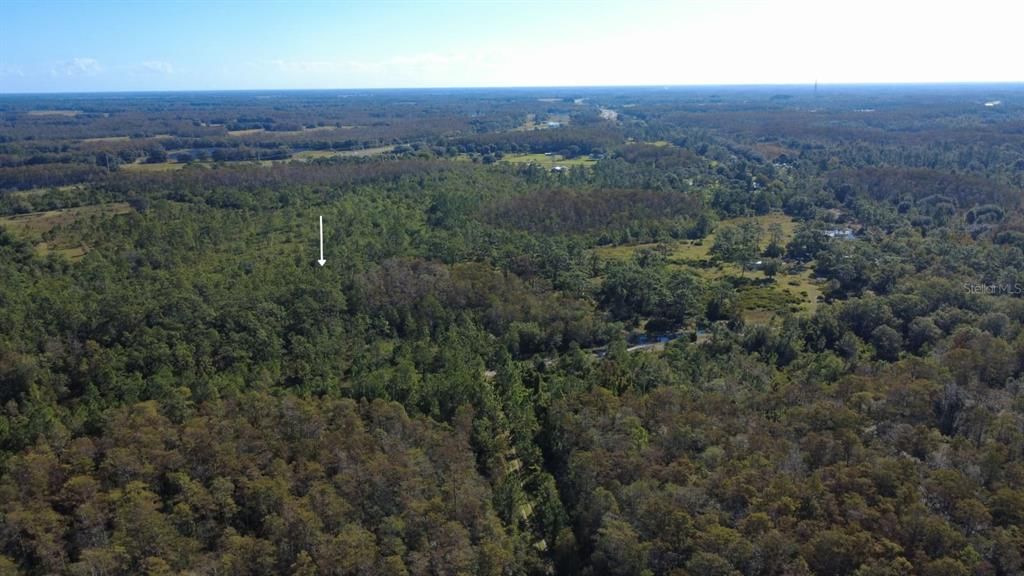 For Sale: $1,249,000 (20.01 acres)