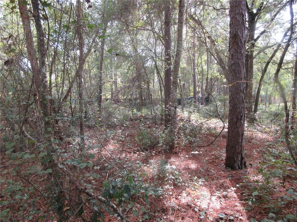 待售: $14,900 (0.29 acres)