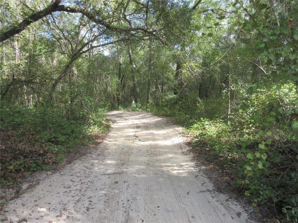 待售: $14,900 (0.29 acres)