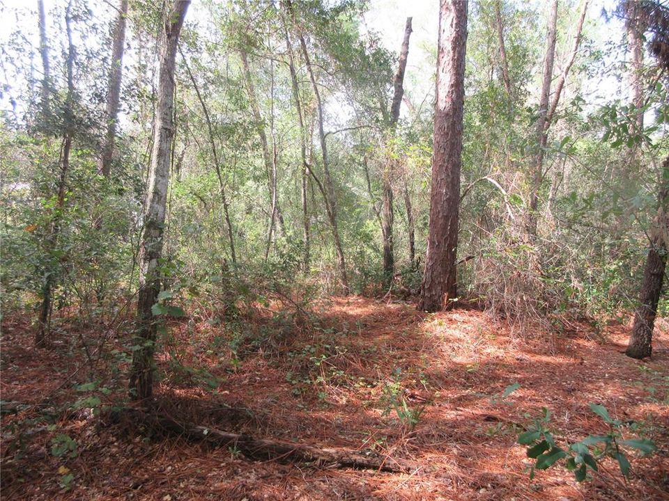 待售: $14,900 (0.29 acres)