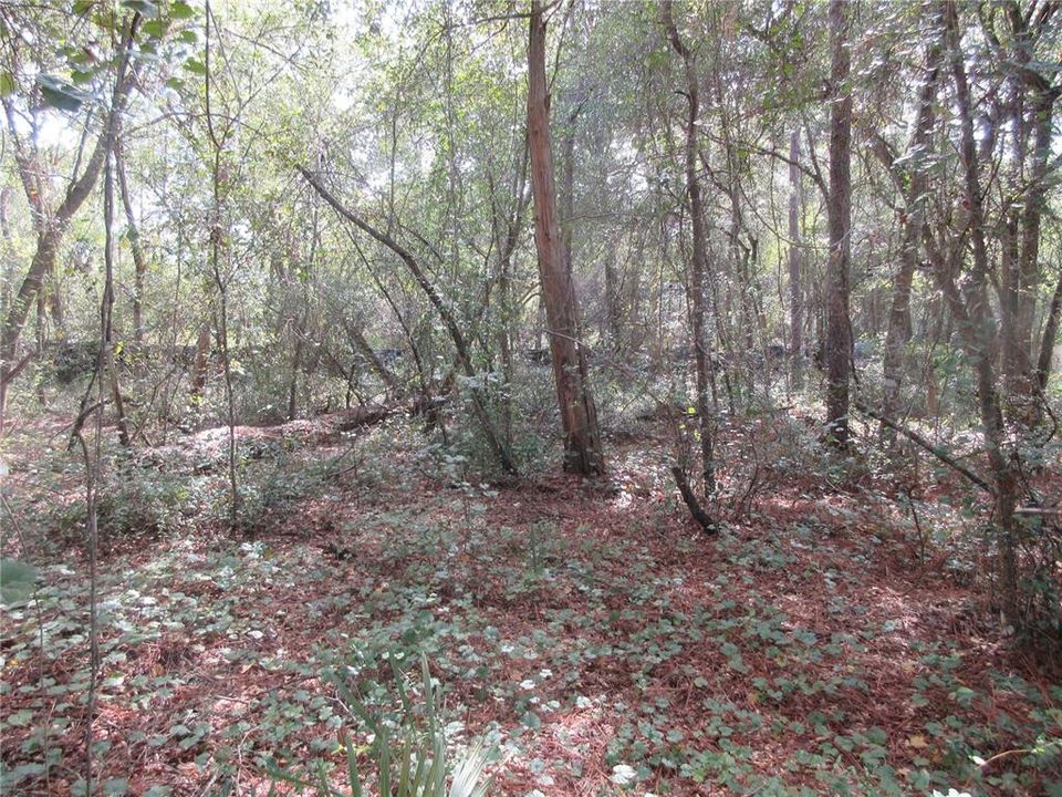 待售: $14,900 (0.29 acres)