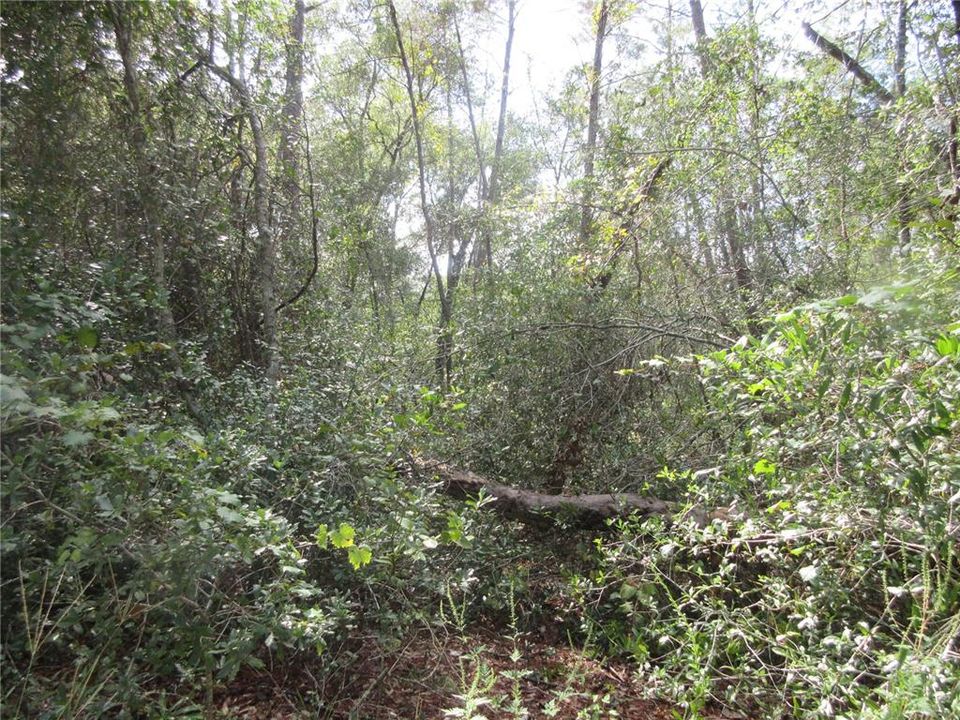 待售: $14,900 (0.29 acres)