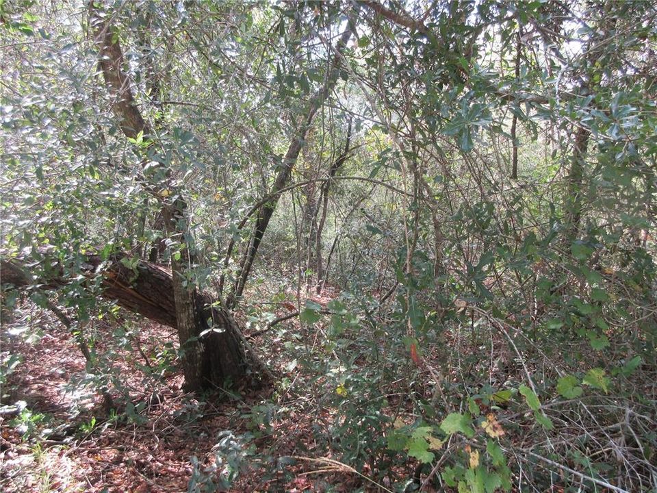 待售: $14,900 (0.29 acres)