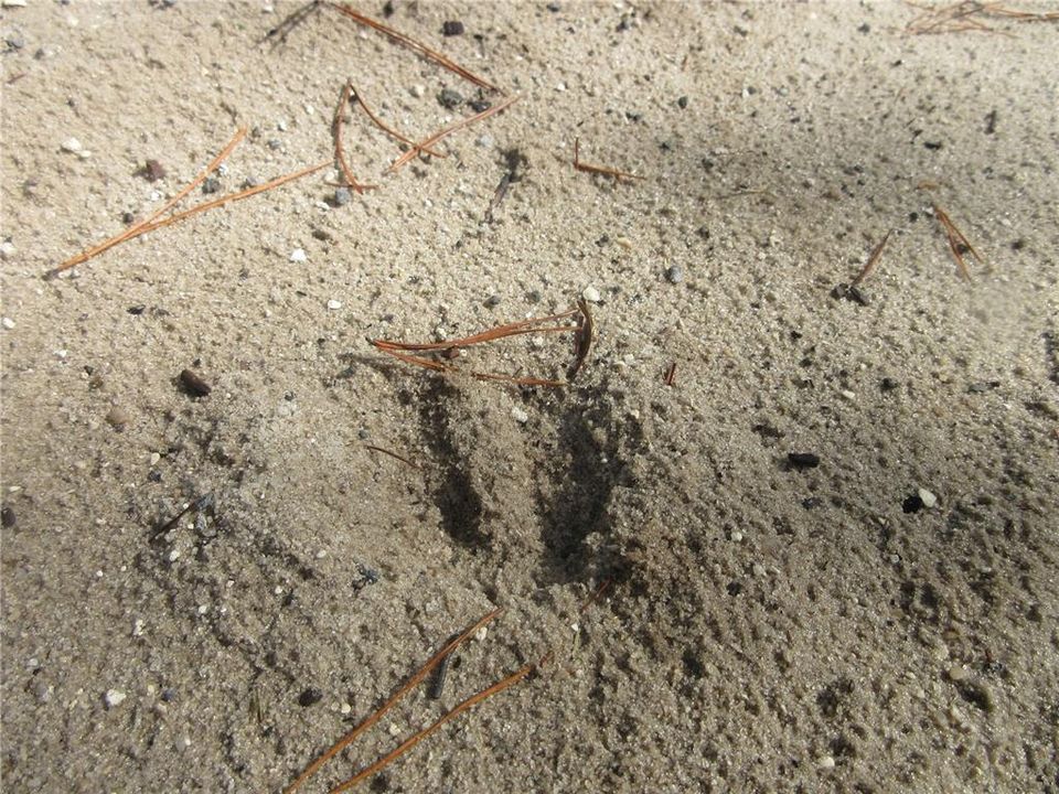 待售: $14,900 (0.29 acres)