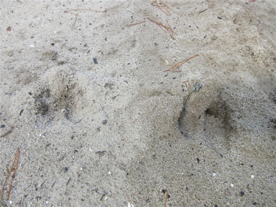 待售: $14,900 (0.29 acres)