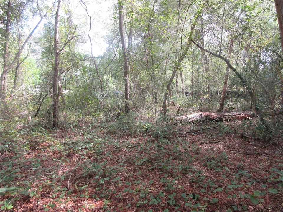 待售: $14,900 (0.29 acres)