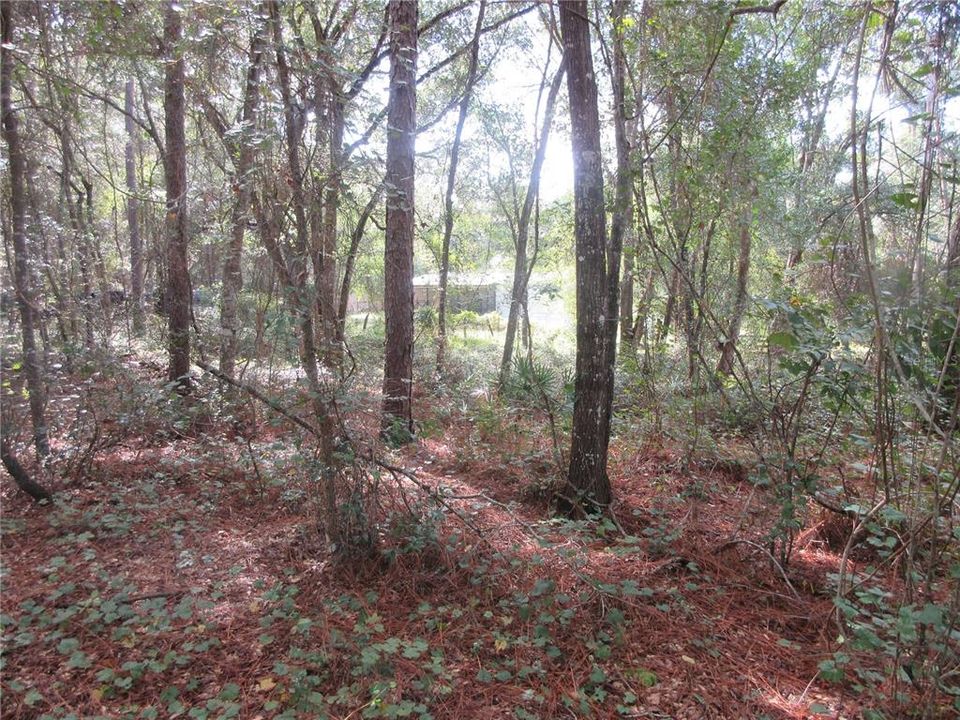 待售: $14,900 (0.29 acres)