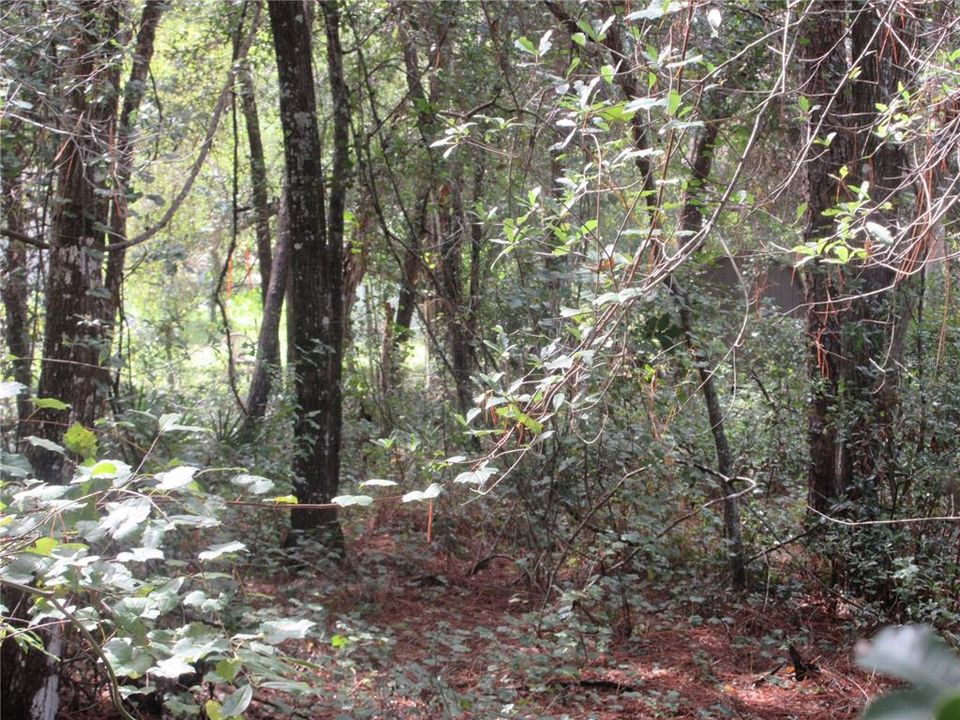 待售: $14,900 (0.29 acres)