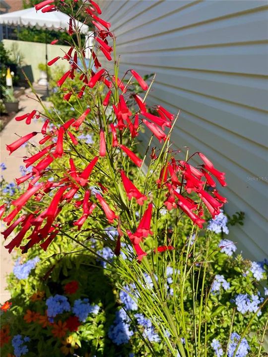 For Sale: $399,000 (3 beds, 2 baths, 1607 Square Feet)