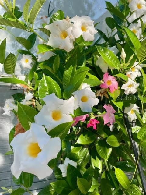 For Sale: $399,000 (3 beds, 2 baths, 1607 Square Feet)