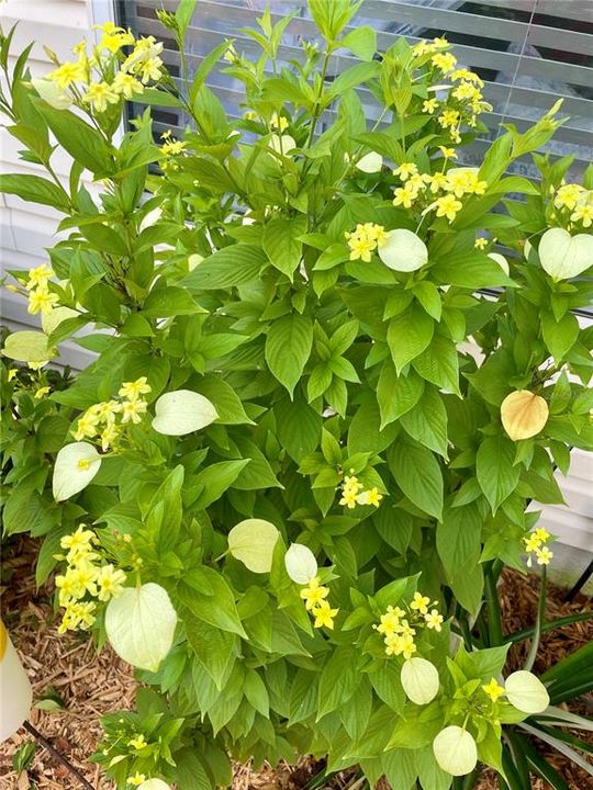 For Sale: $399,000 (3 beds, 2 baths, 1607 Square Feet)