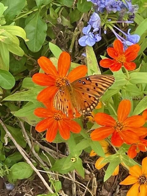 For Sale: $399,000 (3 beds, 2 baths, 1607 Square Feet)